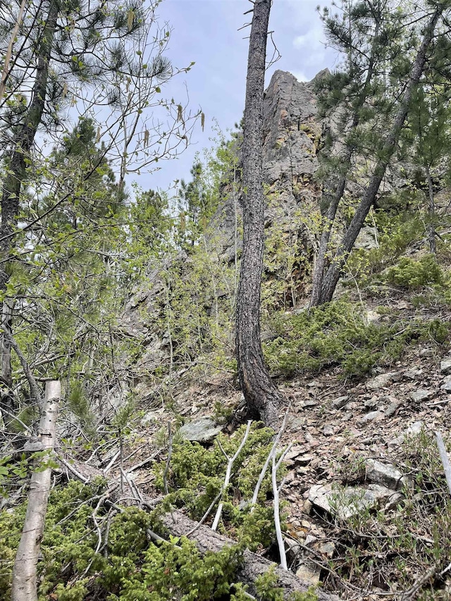 LOT11 Aventure Loop, Lead, SD 57754