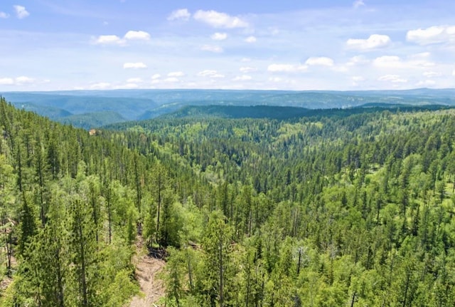 LOT11 Aventure Loop, Lead, SD 57754