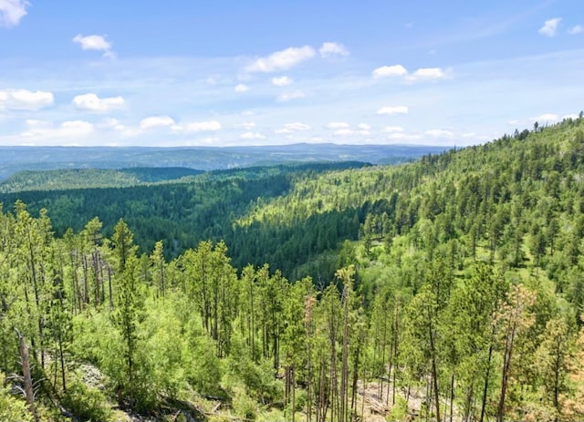 LOT11 Aventure Loop, Lead, SD 57754