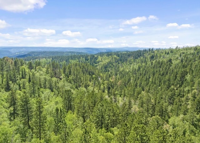 LOT11 Aventure Loop, Lead, SD 57754