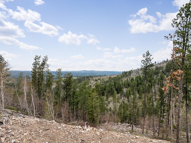 LOT11 Aventure Loop, Lead, SD 57754