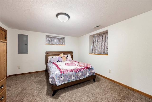 2315 Palisades Loop, Sturgis, SD 57785 - bedroom with electric panel, carpet flooring, baseboards, and a textured ceiling
