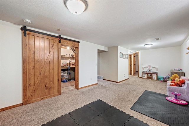 2315 Palisades Loop, Sturgis, SD 57785 - exercise room with carpet, a textured ceiling, baseboards, and a barn door