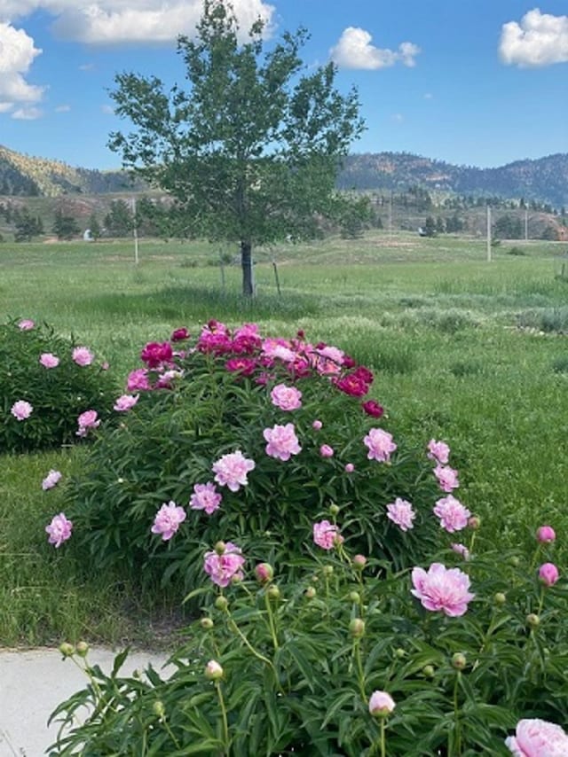 28013 Cascade Rd, Hot Springs, SD 57747 - view of yard with a mountain view and a rural view