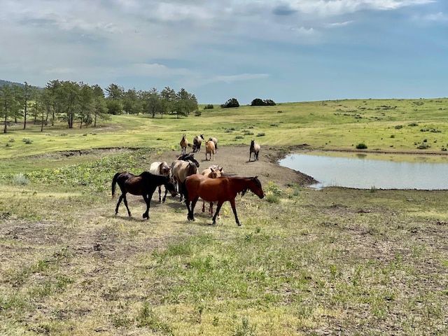 28013 Cascade Rd, Hot Springs, SD 57747 - view of yard featuring a view of countryside and a water view