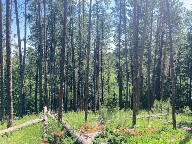 TBD Wasp Rd, Lead, SD 57754