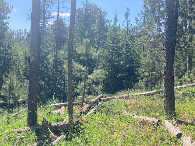 TBD Wasp Rd, Lead, SD 57754