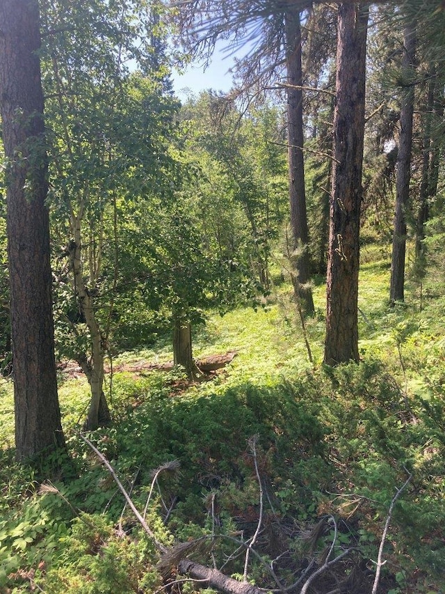 TBD Wasp Rd, Lead, SD 57754