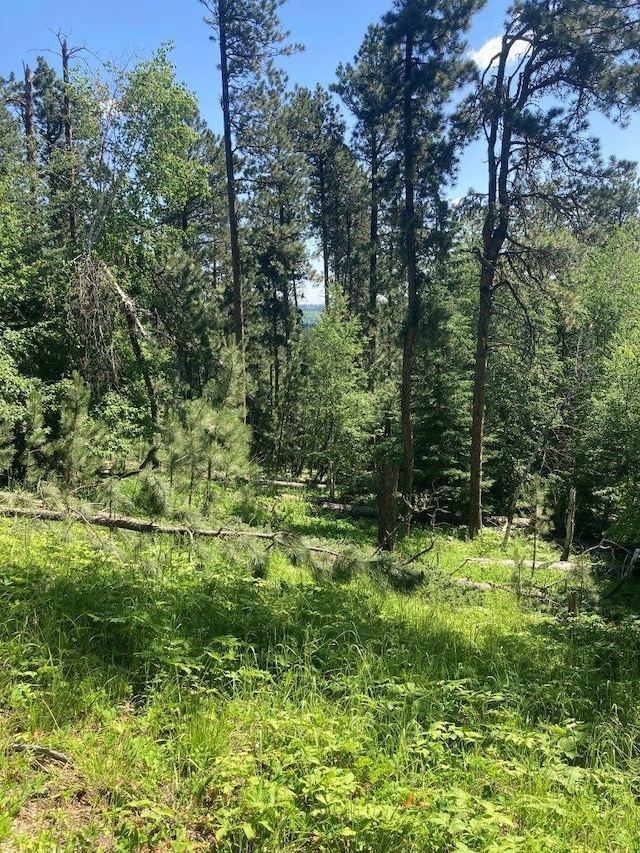 TBD Wasp Rd, Lead, SD 57754