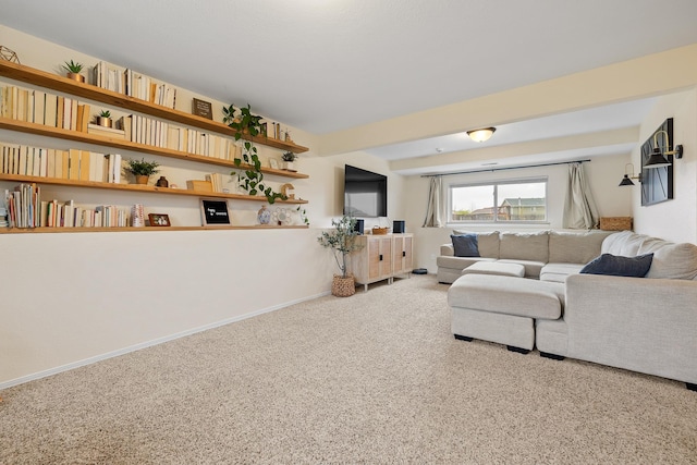 491 Freude Ln, Box Elder, SD 57719 - living area featuring carpet