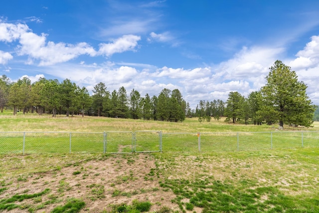 151 Surrey Ln, Custer, SD 57730 - view of yard featuring a view of rural / pastoral area