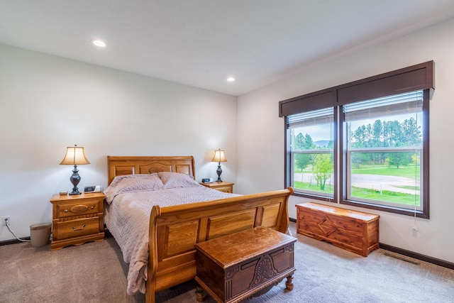 151 Surrey Ln, Custer, SD 57730 - bedroom featuring carpet floors, recessed lighting, and baseboards