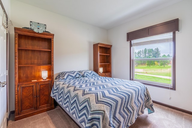 151 Surrey Ln, Custer, SD 57730 - bedroom featuring light carpet and baseboards