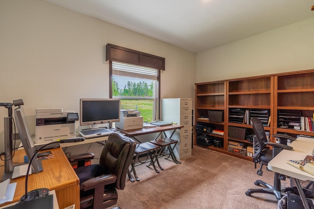151 Surrey Ln, Custer, SD 57730 - view of carpeted office
