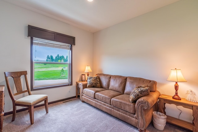 151 Surrey Ln, Custer, SD 57730 - carpeted living room featuring baseboards