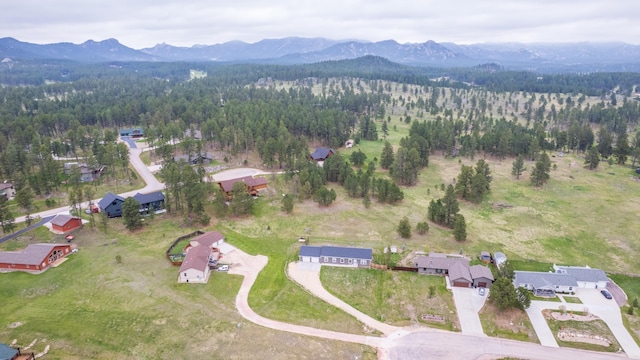 151 Surrey Ln, Custer, SD 57730 - view of property location featuring a mountainous background and a forest