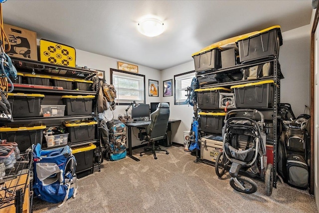 2307 Colorado Dr, Sturgis, SD 57785 - home office with carpet floors