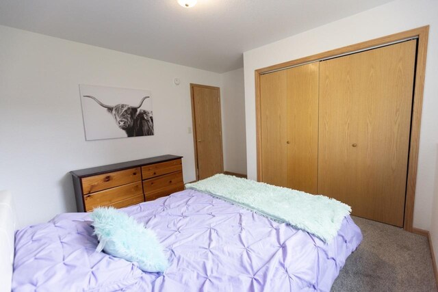 752 Bear Tooth Ct, Box Elder, SD 57719 - bedroom featuring carpet floors and a closet