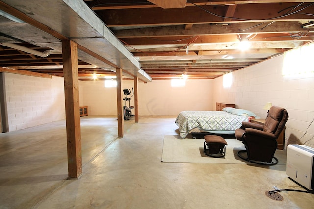 1033 Boulevard St, Sturgis, SD 57785 - view of basement