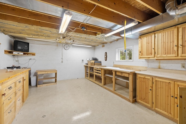 25370 S Lightning Creek Rd, Custer, SD 57730 - basement featuring a workshop area