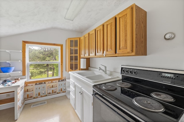 25370 S Lightning Creek Rd, Custer, SD 57730 - kitchen featuring electric range, lofted ceiling, a sink, light countertops, and glass insert cabinets