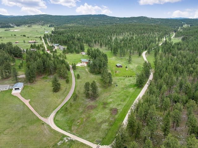 25370 S Lightning Creek Rd, Custer, SD 57730 - aerial view of property and surrounding area with a forest and a mountain backdrop