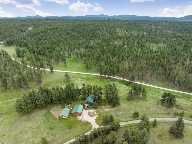 25370 S Lightning Creek Rd, Custer, SD 57730 - aerial overview of property's location featuring a heavily wooded area and mountains