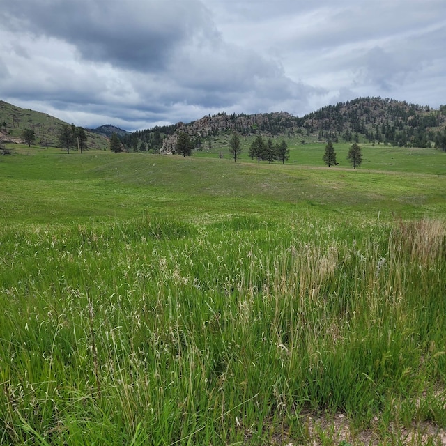 12748 Beaver Creek Rd, Custer, SD 57730 - view of mountain background featuring rural landscape