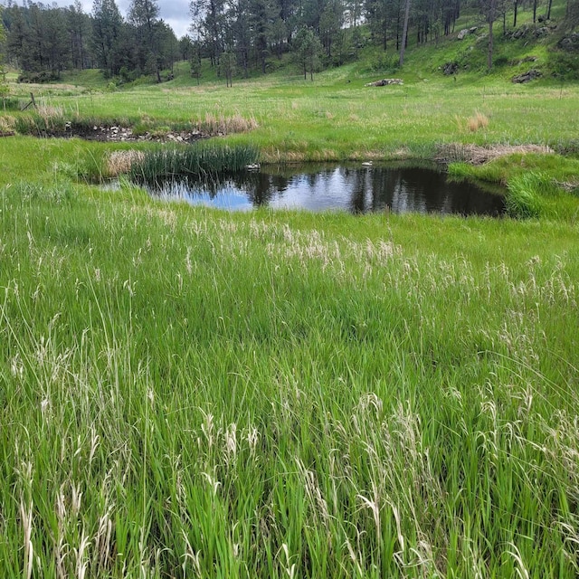 12748 Beaver Creek Rd, Custer, SD 57730 - water view