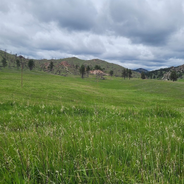12748 Beaver Creek Rd, Custer, SD 57730 - view of mountain background featuring rural landscape and agricultural land