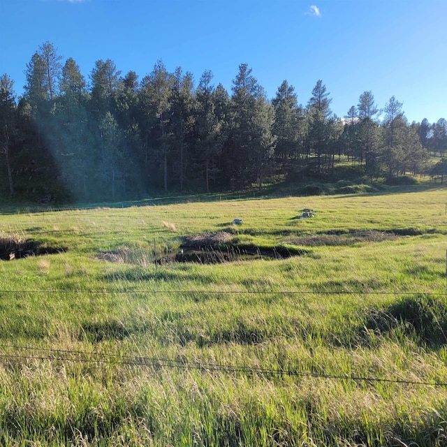 12748 Beaver Creek Rd, Custer, SD 57730 - view of yard with a rural view and a wooded view