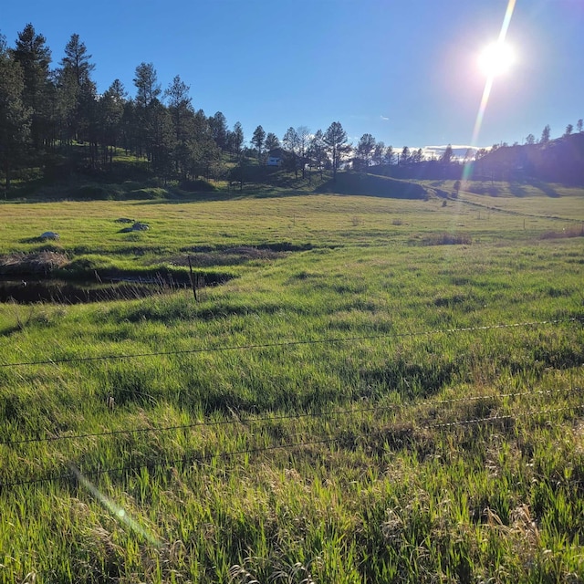 12748 Beaver Creek Rd, Custer, SD 57730 - view of green lawn featuring a rural view