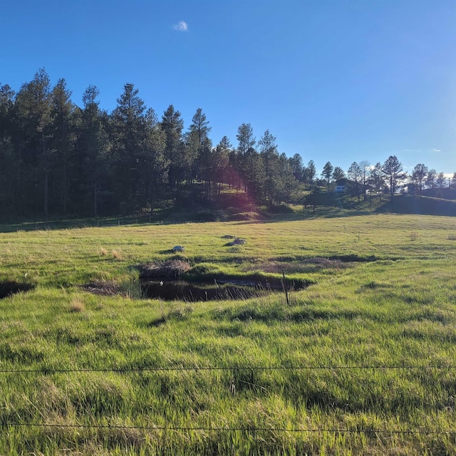 12748 Beaver Creek Rd, Custer, SD 57730 - view of green lawn featuring a rural view
