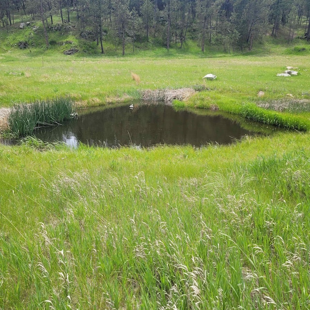 12748 Beaver Creek Rd, Custer, SD 57730 - view of nature with a nearby body of water