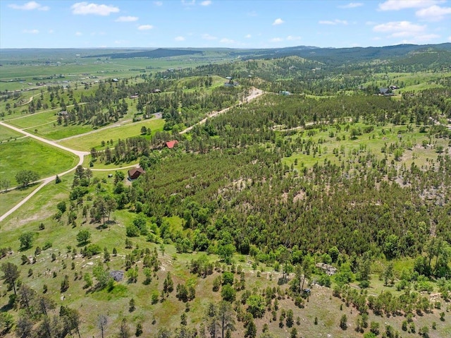 15377 Ridgeview Trl, Piedmont, SD 57783 - aerial view of property's location with a forest