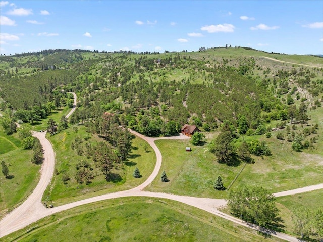 15377 Ridgeview Trl, Piedmont, SD 57783 - aerial overview of property's location featuring a forest