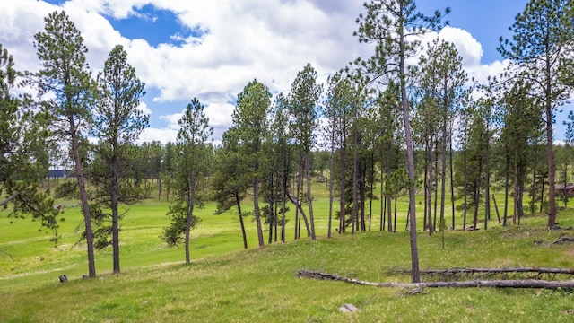 24901 Big Valley Trl, Custer, SD 57730