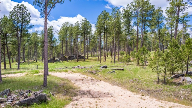 24901 Big Valley Trl, Custer, SD 57730