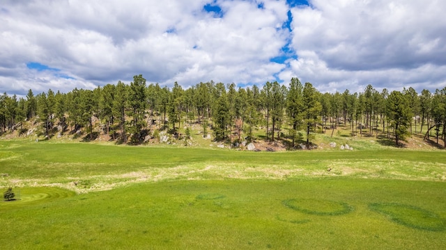 24901 Big Valley Trl, Custer, SD 57730