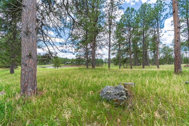 24901 Big Valley Trl, Custer, SD 57730