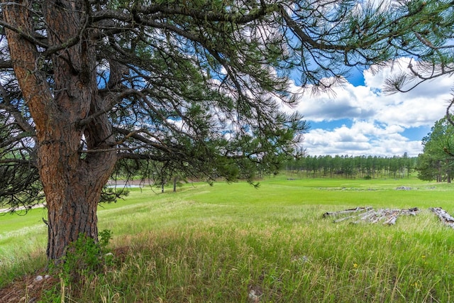24901 Big Valley Trl, Custer, SD 57730