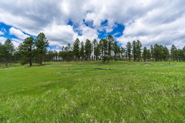 24901 Big Valley Trl, Custer, SD 57730