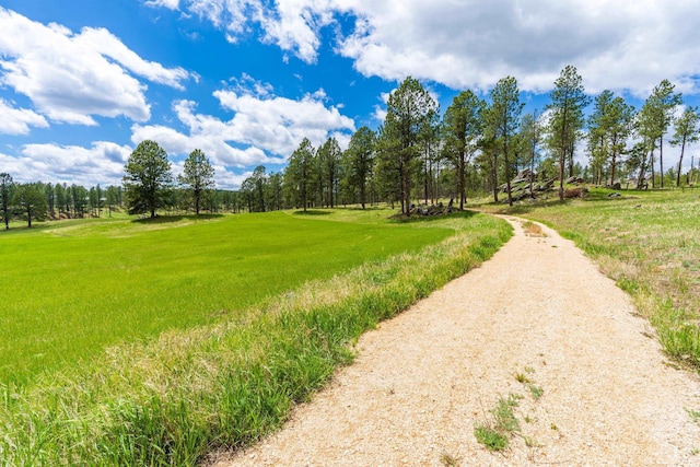 24901 Big Valley Trl, Custer, SD 57730