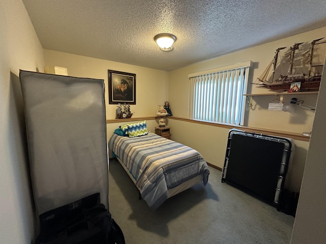 2407 Fox Rd, Sturgis, SD 57785 - carpeted bedroom with a textured ceiling