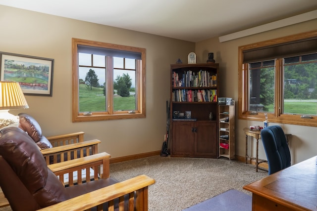 1335 E Woodland Dr, Spearfish, SD 57783 - carpeted office featuring baseboards