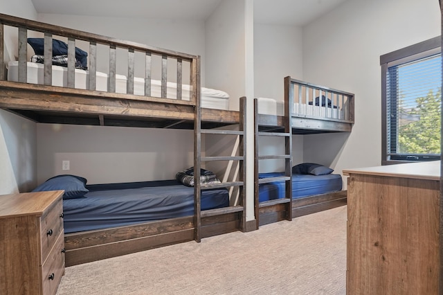 21332 Trailside Rd, Lead, SD 57754 - bedroom featuring carpet floors
