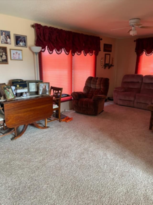 603 E 1st St, Buffalo, SD 57720 - carpeted living room featuring ceiling fan