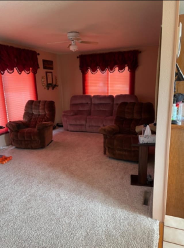 603 E 1st St, Buffalo, SD 57720 - carpeted living room with ceiling fan