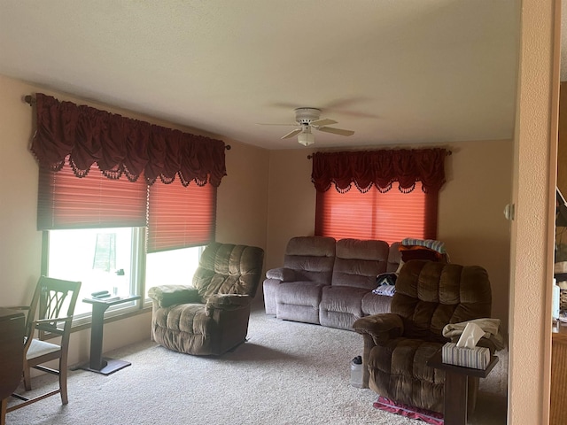 603 E 1st St, Buffalo, SD 57720 - carpeted living room with ceiling fan