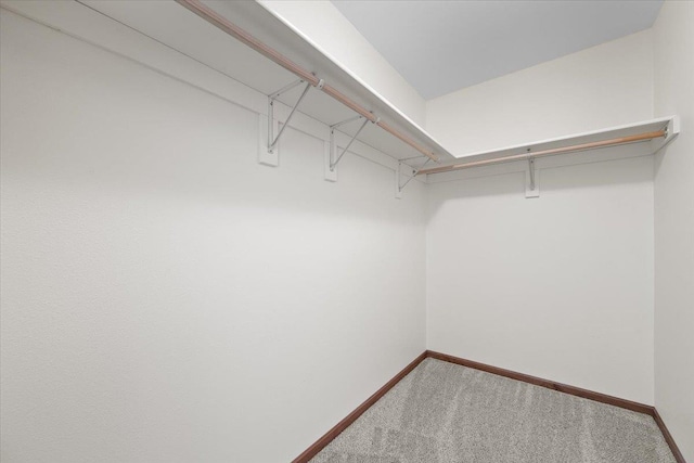 1233 Silverbrook Ln, Spearfish, SD 57783 - walk in closet with carpet flooring